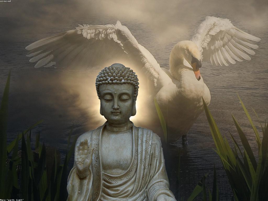 ភាពច្បាស់លាស់នៅក្នុងជីវិត