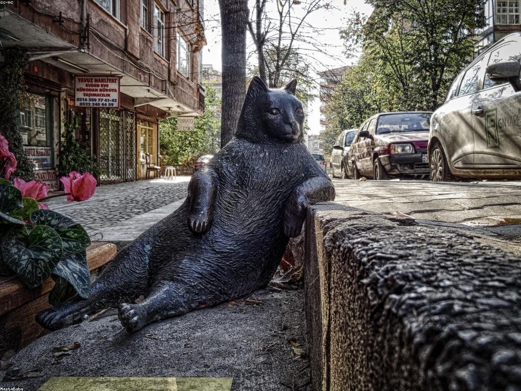 អត្ថបទពិសេស: ការណែនាំនិងអត្ថប្រយោជន៍